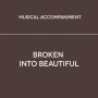 acc-broken